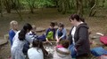 WP_20170509_001.jpg