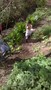 WP_20170418_015.jpg