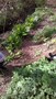 WP_20170418_013.jpg