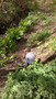WP_20170418_012.jpg