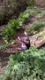 WP_20170418_011.jpg