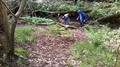 WP_20170418_007.jpg