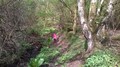 WP_20170418_005.jpg