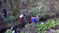 WP_20170418_004.jpg