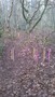 WP_20170124_007.jpg