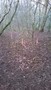 WP_20170124_006.jpg