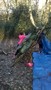 WP_20161129_010.jpg