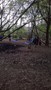 WP_20170418_008.jpg