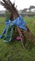 WP_20170110_006.jpg