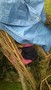 WP_20170110_004.jpg