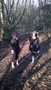 WP_20161129_009.jpg
