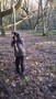 WP_20161129_008.jpg