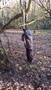 WP_20161129_006.jpg