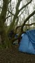 WP_20170124_015.jpg