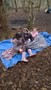 WP_20170124_003.jpg