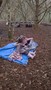 WP_20170124_001.jpg