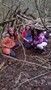 WP_20170130_014.jpg
