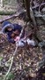 WP_20161107_004.jpg