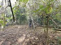DSCF6734.JPG
