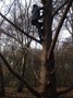 DSCF6781.JPG