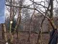 DSCF6809.JPG