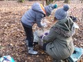DSCF6778.JPG