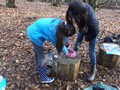 DSCF6777.JPG