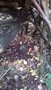 WP_20161108_003.jpg