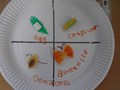 DSC05056.JPG