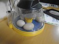 DSC05060.JPG