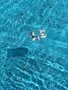 19022001_10209260971666000_718063734_n.jpg