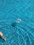19046786_10209260971625999_118089288_n.jpg