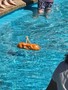 19047505_10209260973026034_1023843049_n.jpg