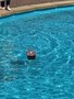 19073699_10209260973426044_51372752_n.jpg
