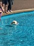 19073736_10209260973866055_1691998460_n.jpg