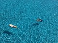 19074041_10209260972506021_793329276_n.jpg