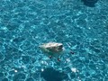 19021878_10209261003186788_19384835_n.jpg