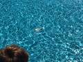 19046641_10209261002706776_863433594_n.jpg