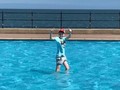 19047859_10209261003826804_1407593630_n.jpg