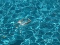 19073769_10209261002746777_1483930948_n.jpg