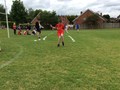 IMG_6988.JPG