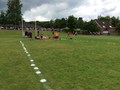 IMG_6995.JPG