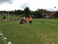 IMG_7006.JPG