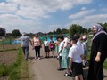 Cls4 Allotments - May 17 (7).JPG