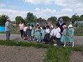 Cls4 Allotments - May 17 (9).JPG