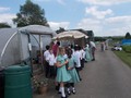 Cls4 Allotments - May 17 (23).JPG