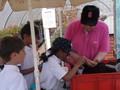 Cls4 Allotments - May 17 (29).JPG