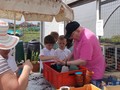 Cls4 Allotments - May 17 (31).JPG