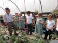 Cls4 Allotments - May 17 (42).JPG