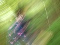 DSCF7226.JPG